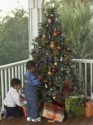 Como Escolher a Árvore de Natal