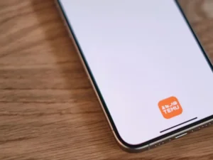 como comprar na temu guia pratico 1