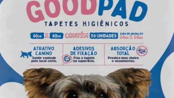 Como ensinar o cachorro a usar o tapete higiênico