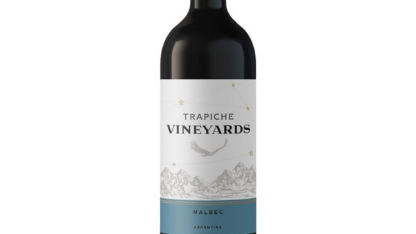 Melhores vinhos argentinos 2026
