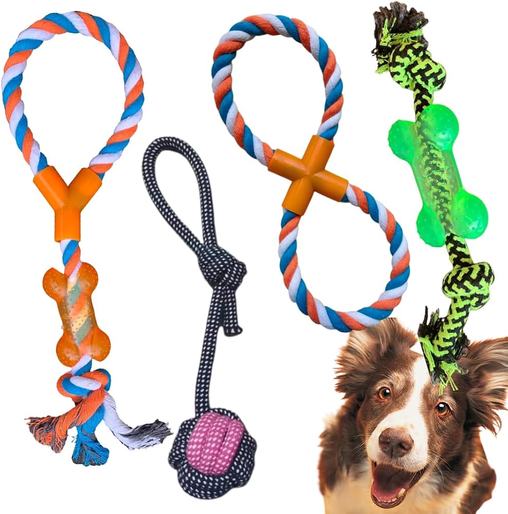 Kit de Brinquedos para Pet