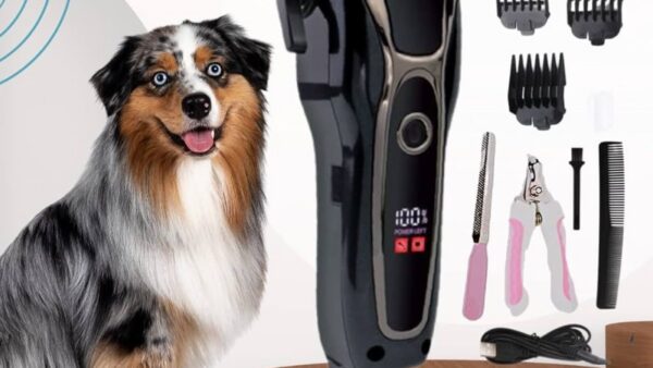 Máquina de tosa tosando um cachorro