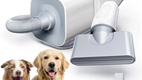 Secador para cachorro secando o pelo de um cão
