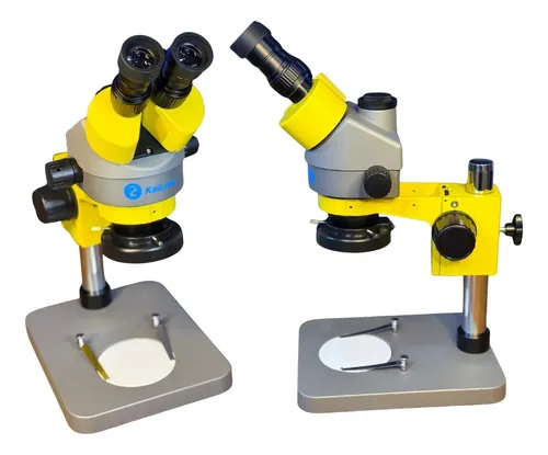 Microscópio óptico trinocular