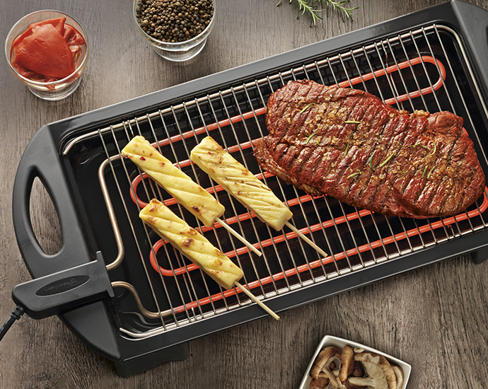 Fischer Churrasqueira Elétrica Portátil Grill