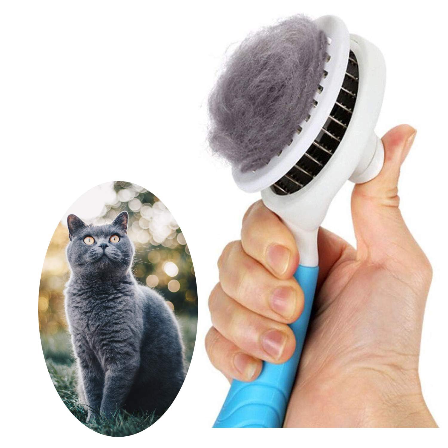 Escova itPlus para Pets