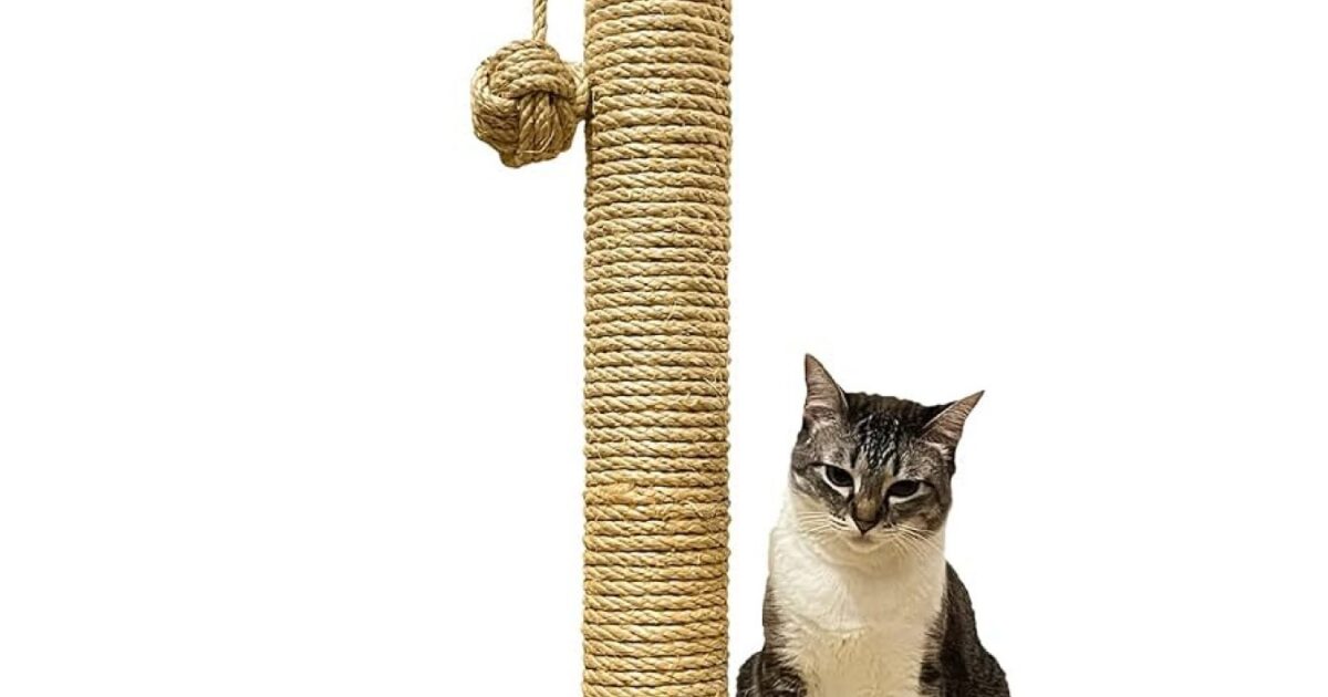 Melhor arranhador para gato