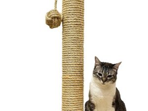 Melhor arranhador para gato