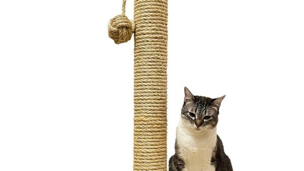 Melhor arranhador para gato
