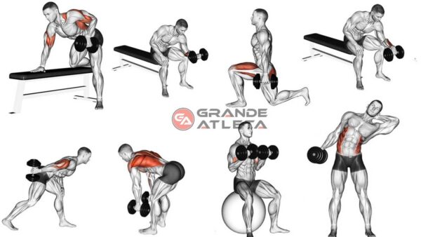 Halteres para treino em casa comparados