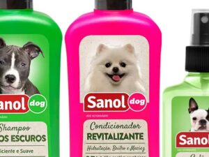 Banho de cachorro com shampoo para pet