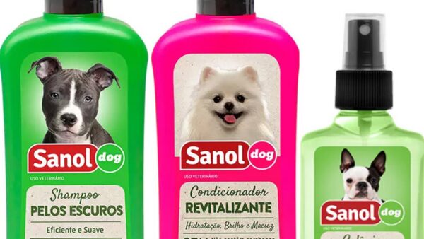 Banho de cachorro com shampoo para pet