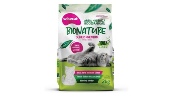 melhor areia para gato filhote featured