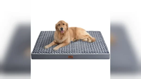 Melhor cama ortopédica para cachorro: o preço por centímetro reordena a lista