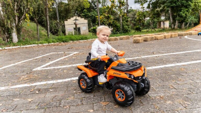 Melhores brinquedos para crianças de 3 anos: educativos, e…