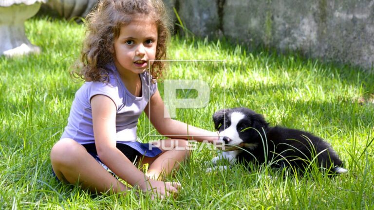 Melhores brinquedos para meninas de 4 anos: a lista com…