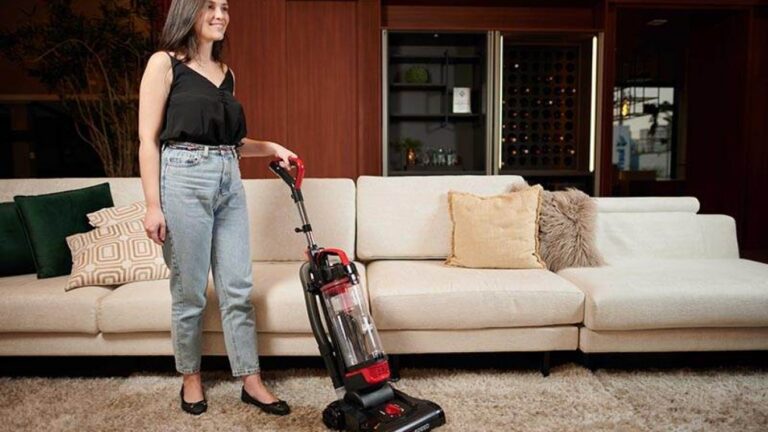 Oster Duo Clean ou Electrolux Ergorapido: qual aspirador…