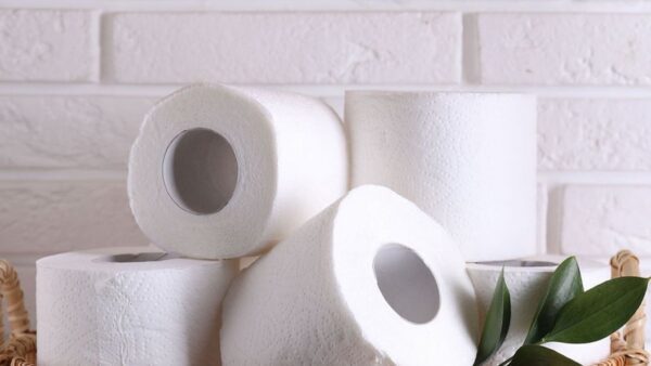 papel higiênico